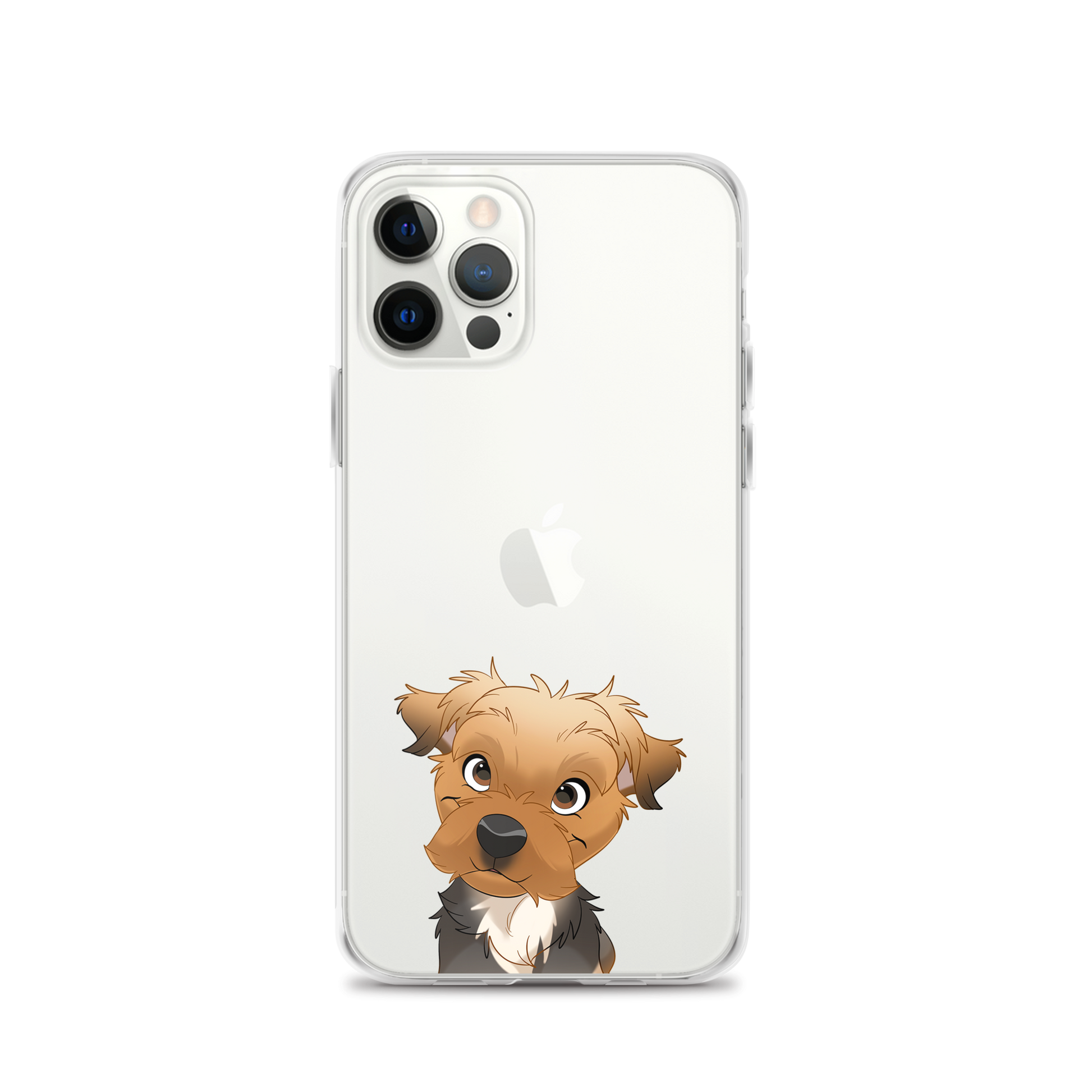 iPhone 12 Pro