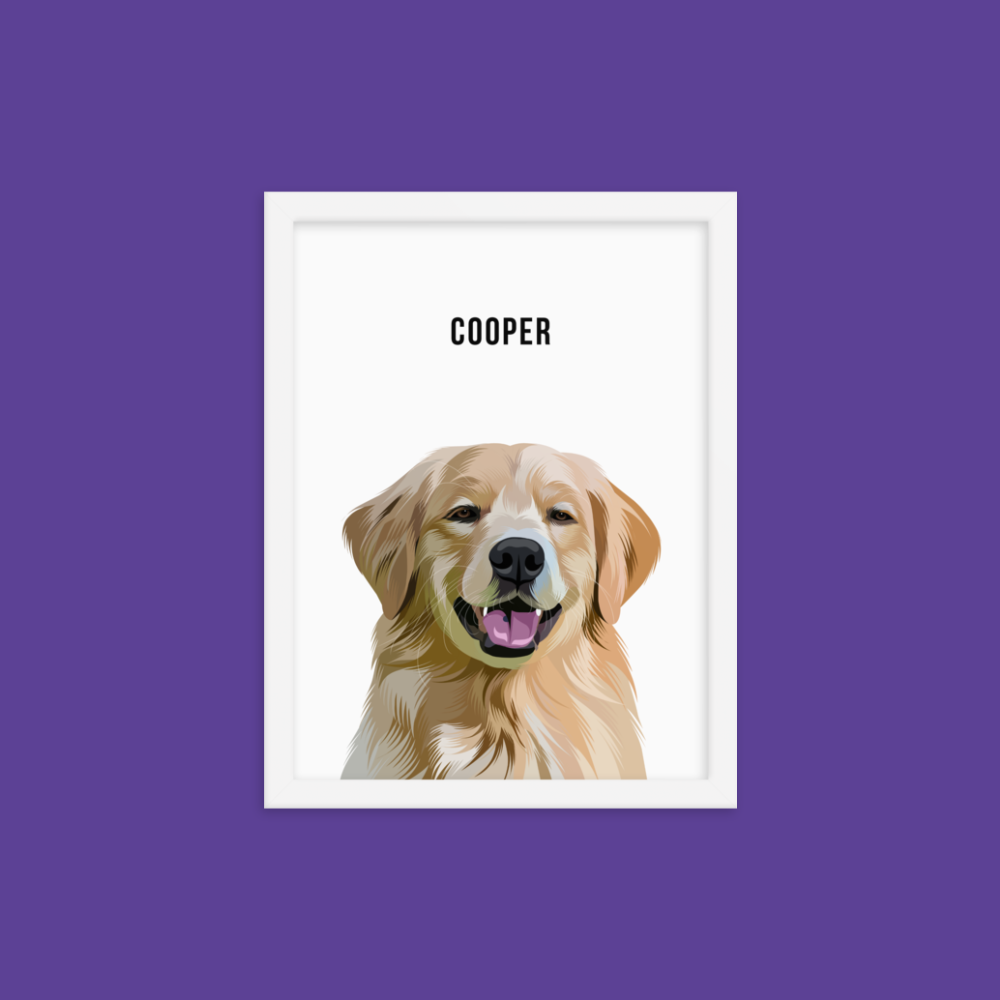 Pet Portraits